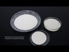 Καθαριστική cellulase ενζυμικών πρωτεάσεων αμυλάση