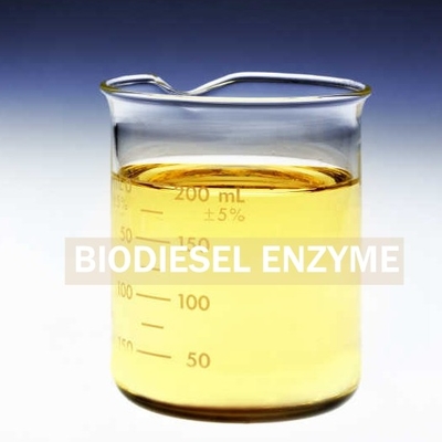 Καλή τιμή. Παραχθε'ν Lipase Biosurfactants ένζυμο για τη βελτιωμένη αποκατάσταση biodiesel σε απευθείας σύνδεση