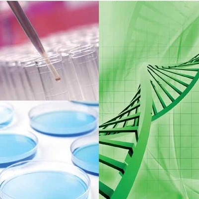 Καλή τιμή. Ανυψώστε τις διαδικασίες Biorefinery σας με τη μεταβλητότητα της ενζυμικής τεχνολογίας CALB σε απευθείας σύνδεση