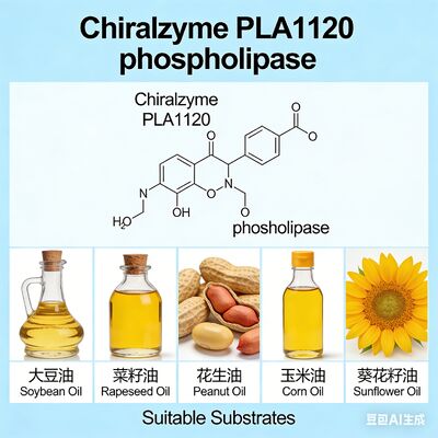 Καλή τιμή. Chiralzyme PLA1120 | Φωσφολιπάση Α1 Υψηλής Απόδοσης για Αποκόλληση Ελαίου | KDN σε απευθείας σύνδεση