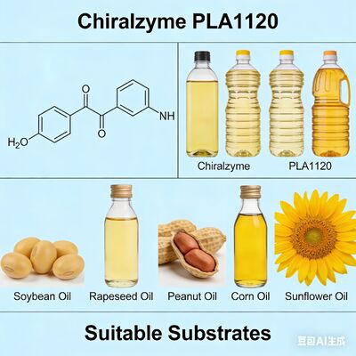 Καλή τιμή. Chiralzyme PLA1120 | Ενζυμικό σκεύασμα ποιότητας τροφίμων για οικονομική διύλιση ελαίου σε απευθείας σύνδεση